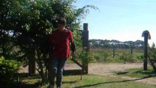 Marcelo Rebolation