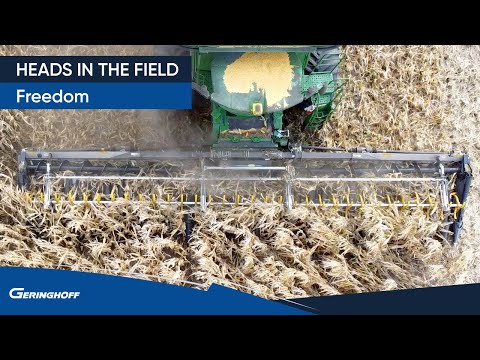 Freedom 32 Row Corn Head