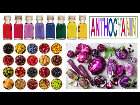 Video: Vilka växter innehåller antocyaniner?