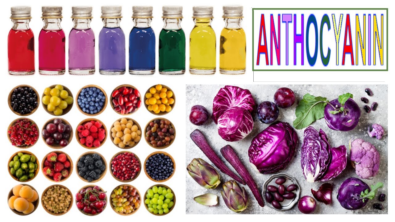 anthocyanin YouTube