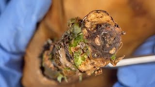 𝑻𝒉𝒆 𝑩𝒆𝒔𝒕 𝑹𝒆𝒎𝒐𝒗𝒊𝒏𝒈 𝑫𝒊𝒓𝒕 𝑼𝒏𝒅𝒆𝒓 𝑻𝒉𝒆 𝑺𝒌𝒊𝒏 𝑰𝒔 𝑹𝒆𝒇𝒓𝒆𝒔𝒉𝒊𝒏𝒈 𝑨𝒏𝒅 𝑹𝒆𝒍𝒂𝒙𝒊𝒏𝒈 #90033811