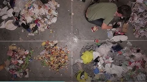 Environmental auditing