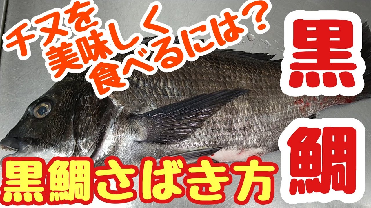 Download チヌのムニエル 釣ってきたチヌ ク