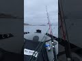 Partida a la mar temprano mejored resultados