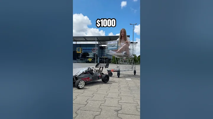 $5 vs $1000 RC CAR vs GIRL in a Shopping Cart! 😳🚀