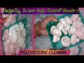 How to Clean Mushrooms in Telugu||Mushrooms Cleaning before Cooking||Mushrooms Cleaning and Cutting.
