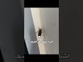 الصيف على الابواب الصيف على الابواب