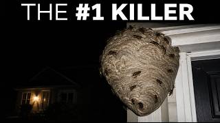 10 ANIMALS THAT KILL THE MOST PEOPLE IN TEXAS