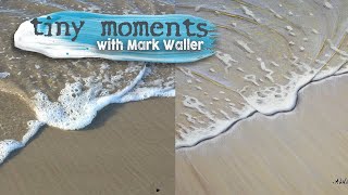 Shallows and Shadows - Tiny Moments #shorts
We want to share some tiny magical moments with you in our new shorts series! Hope you like them and youre a bit inspired to get out into the world and enjoy some meditation by stealth
Join this channel to get access to perks:
https://www.youtube.com/channel/UCIzzJZa8_Obui-WGHgdUnng/join
For more great acrylic painting tips, techniques and tutorials to improve your painting processes, make sure you check out Marks tutorial website at:
https://www.explore-acrylic-painting.com
For Marks tutorial products including his Beachscapes Paint Recipe Book, downloadable and streamable DVDs on painting water and waves, painting start to finish downloadable tutorials (the V-Logs) and ebooklets, go to his shop here:
https://www.explore-acrylic-painting.com/shop.html
Want to look at Marks available works? For limited edition prints and artworks go to his art website at https://www.markwaller.com.au
For more info on upcoming workshops (or digital one-on-one lessons), go to:
https://www.explore-acrylic-painting.com/workshops.html
Mark uses Atelier Free Flow Artists Acrylics and Atelier Interactive Artists Acrylics by Chroma Australia.
Mark uses Micador for Artists Future and series 1300 brushes (amongst others, usually whatever is within reach). Micador is a fantastic Aussie company doing their best for the environment. For more info on their sustainability efforts see https://micador.com.au/green_earth
Thanks so much for watching! Make sure your subscribed for more videos, and hit that notification bell to get all the latest clips :D
Annnnnd, check out our stories via mobile or tablet too!
Facebook:
https://www.facebook.com/exploreacrylicpaintingcom
https://www.facebook.com/MarkWallerArtist/
Instagram:
https://www.instagram.com/explore.acrylic.painting/
https://www.instagram.com/markwallerpaints/ Shallows and Shadows - Tiny Moments #shorts