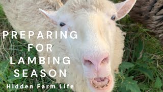 Preparing For Lambing Season 🐑🙂