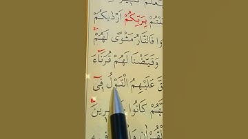 سورة فصلت الأية 24 إلى 26 القارئ سعد الغامدي