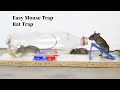 Easy Mouse Trap | Rat Trap | Rat Trap Homemade | Water Bottle Best Mouse Trap
