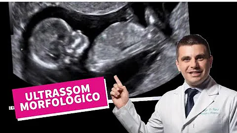 O que perguntar no ultrassom Morfologico 2 trimestre?