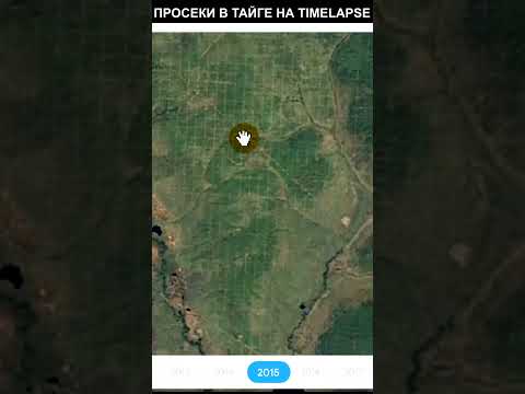 Видео: Просеки в тайге на Timelapse #shorts