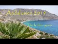🇪🇸 Tipps für den noch perfekteren Andalusien Urlaub 🇪🇸