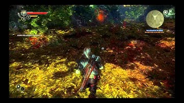 Walkthrough: The Witcher 2 HD - Part 28 - Chapter 1