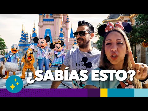 Video: 13 palabras que debes saber antes de ir a Disneylandia