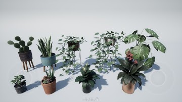 House Plant | Real3D Model Streaming | Unreal Engine
