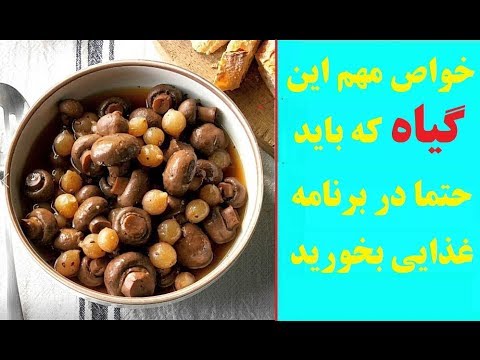 تصویری: خواص تغذیه ای و درمانی قارچ صدف