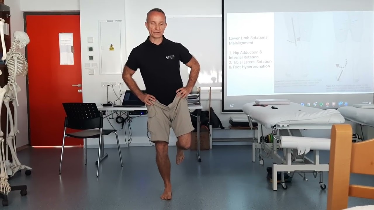 Hip Inspection _ Dynamic Tests _  Frontal Plane Sway _ Small Knee Bend_  Small Knee Bend & Rotation