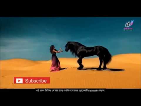 E0 A6 AC E0 A6 A8 E0 A7 87 E0 A6 B0 E0 A6 AA E0 A6 BE E0 A6 96 E0 A6 BF 7C 7C Bangla New Music Vi