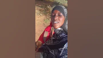 Dhaanto Habargidir 