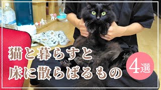 「まさかのアレも」猫と暮らすと床に散らばるもの4選とは…黒猫と一緒に紹介