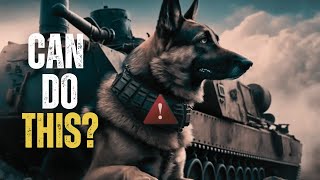 Fearless German Shepherds: Anti-Tank Dogs in World War 2