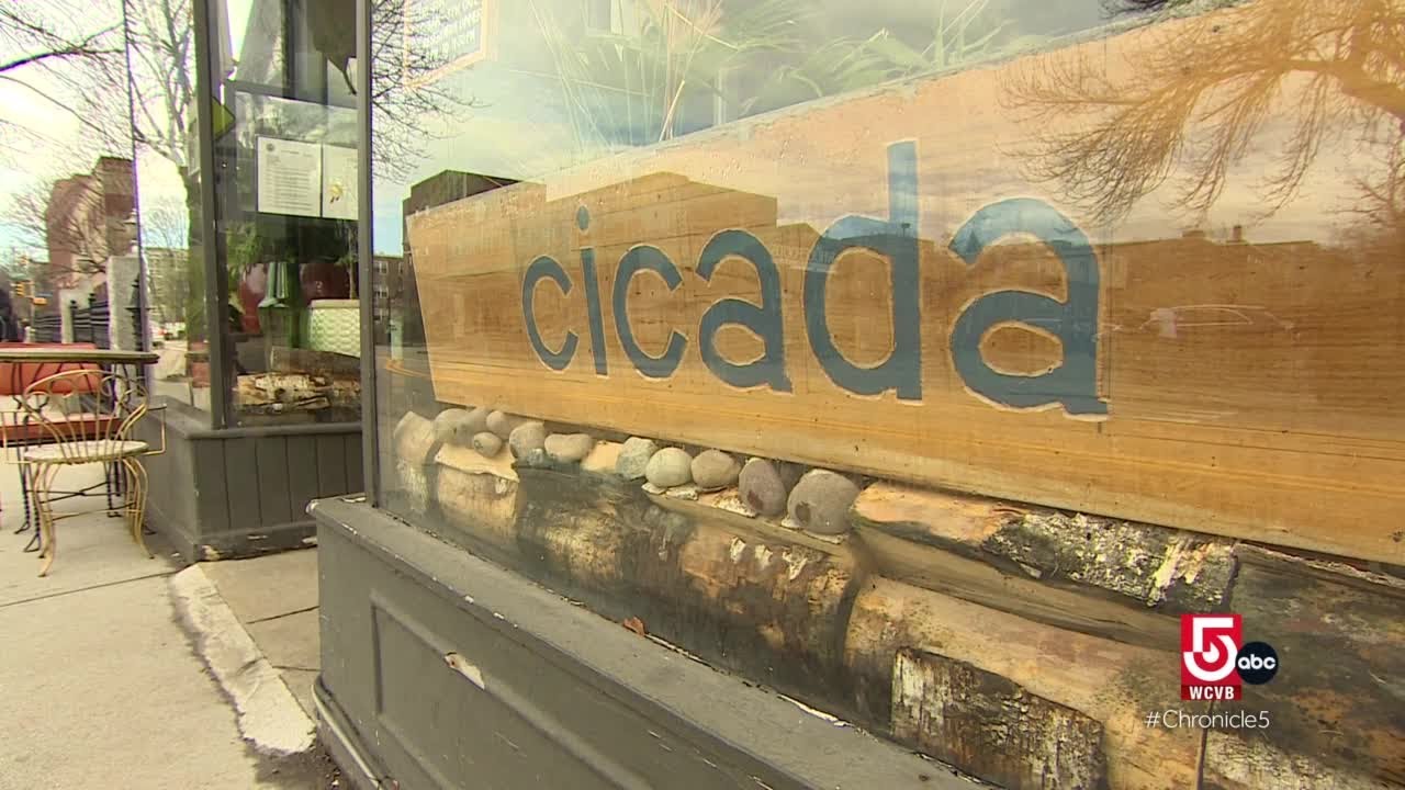 Coffee from across the globe poured at Ogawa in Boston and Cicada in Cambridge