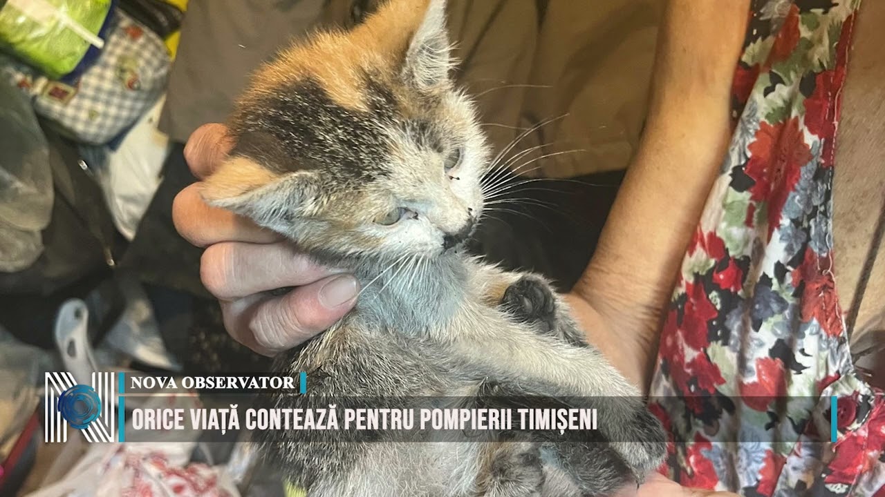 Orice viață contează pentru pompierii timișeni 
