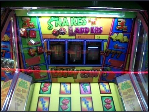 Snakes Snakes