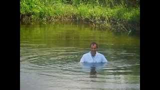 Wetlook In The Pond 2014 06 15