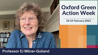 Professor EJ Milner-Gulland - we all have a role to play for environmental sustainability.