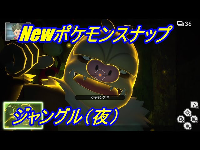 New Pokémon Snap] Route Score: 6,406,794 points - Jungle (Night