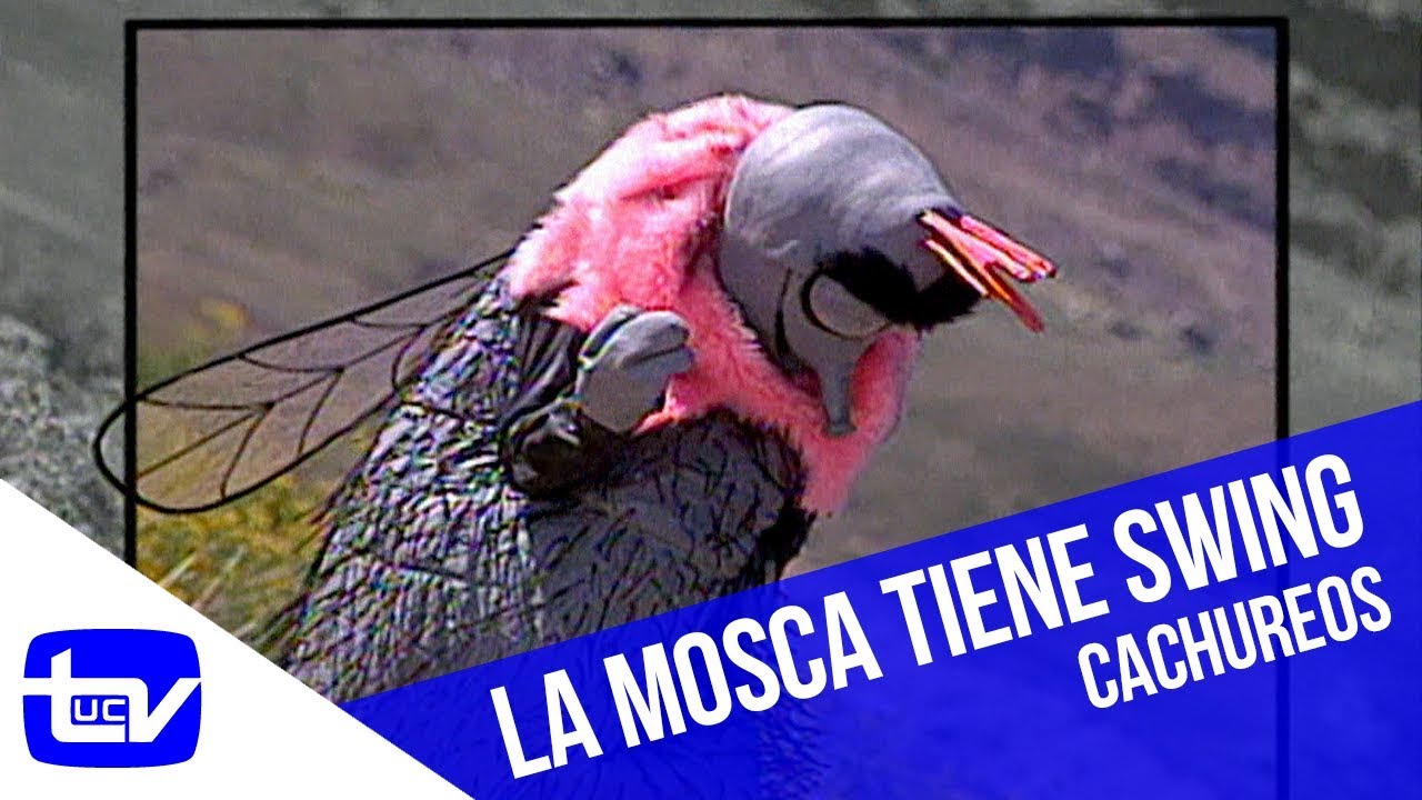 La Mosca tiene swing | Cachureos