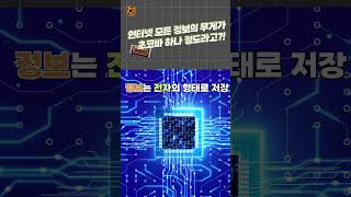 [IT's real] 인터넷 정보의 무게가 고작 초코바?! 왜죠?! 🤷‍♀️ #인터넷 #인터넷무게 #internet