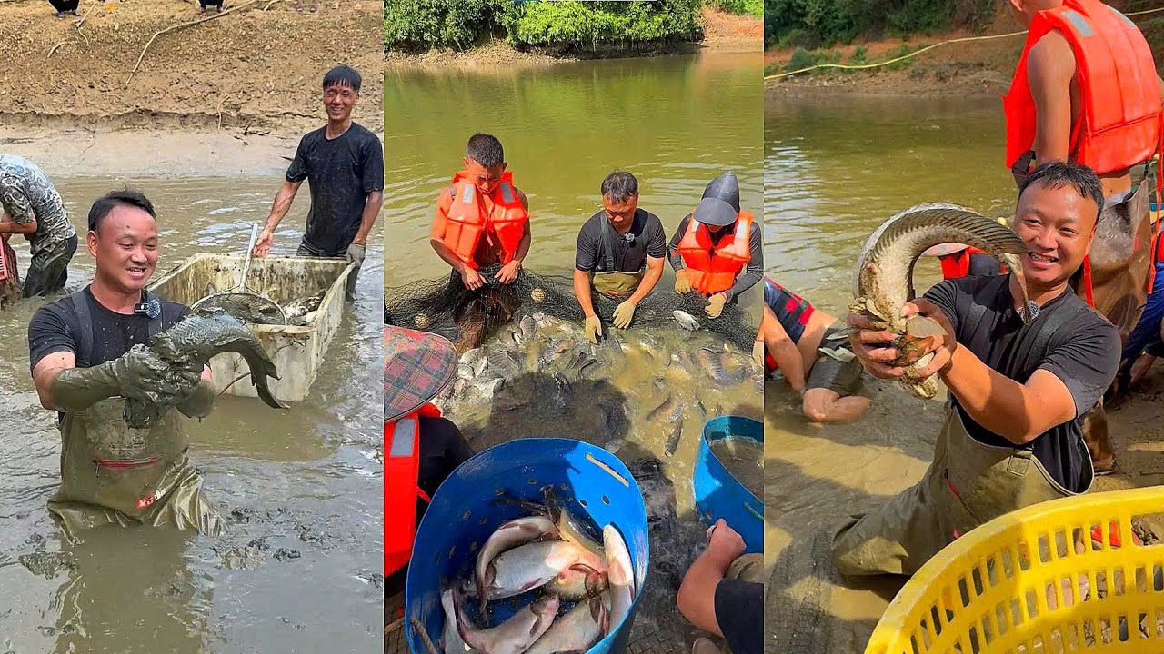 Chi 38.000 tệ bao trọn 30 mẫu ao, nghe đồn có cả ngàn con ba ba – lần này lời to hay lỗ nặng