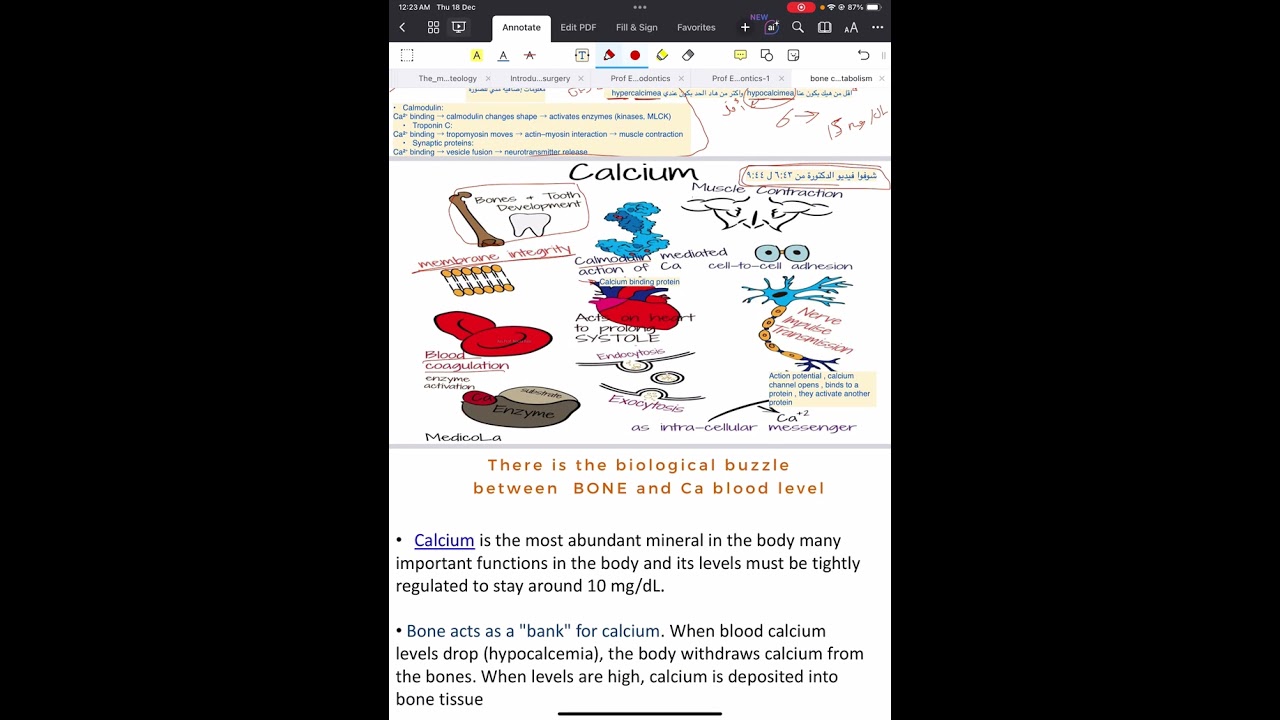 Lec 18 Oral biology ( ivory batch 🦷)