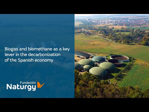 Biogas and biomethane as a key lever in the decarbonization of the Spanish economy
