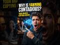 why we yawn when we see others to yawn?