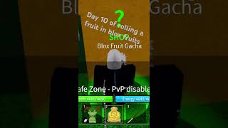 Day 10 Of Rolling A Fruit In Blox Fruits