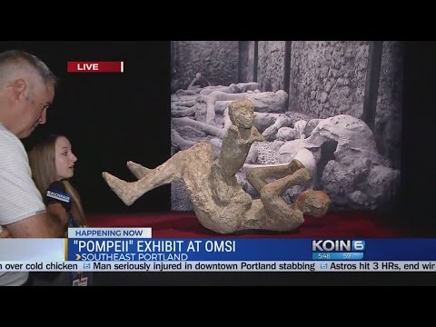 Video: Lupanaria Av Gamle Pompeii: Den Frosne Historien Til Underholdningshus - Alternativ Visning