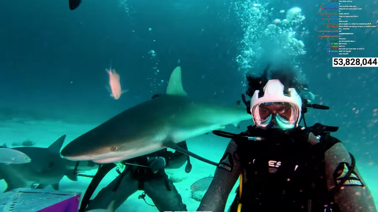 iShowSpeed Goes Shark Diving In The Bahamas 🤯