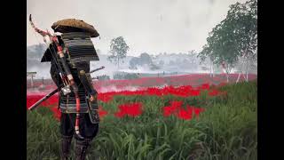 Tararara Time Of Our S/ Zhao Lei Resimi