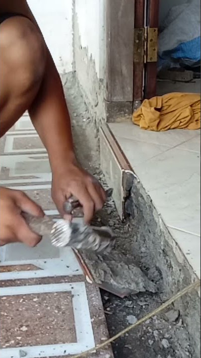 lek golek wong kerjo ki deloken sek ya lor ya🤣