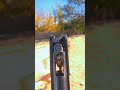 The airgun review