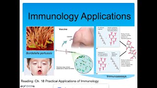 Immunology Applications Lecture (Vaccines, Immunoassays)