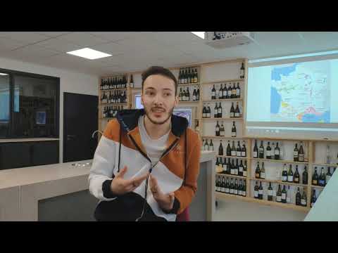 Témoignage de Maxime Legrand, étudiant à l'Académie Internationale des Vins - AIVA