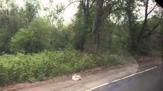 Bee-Line Bus Ride: NABI 40LFW Hybrid [#228] Route 5 from Getty Square to Harrison Part [1/2]