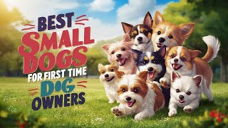 Here are the best small dogs for first time dog owners